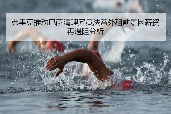 fu-li-ke-tui-dong-ba-sa-qing-li-rong-yuan-fa-di-wai-zu-qian-jing-yin-xin-zi-zai-yu-zu-fen-xi-2-588.jpg